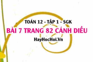 Bài 7 trang 82 Toán 12 tập 1 Cánh Diều